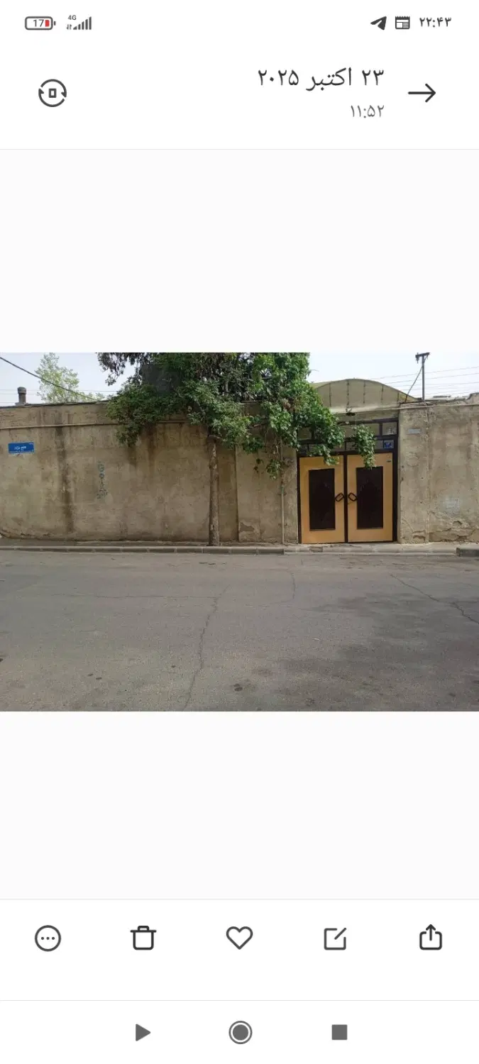 ملک طلایی کلنگی