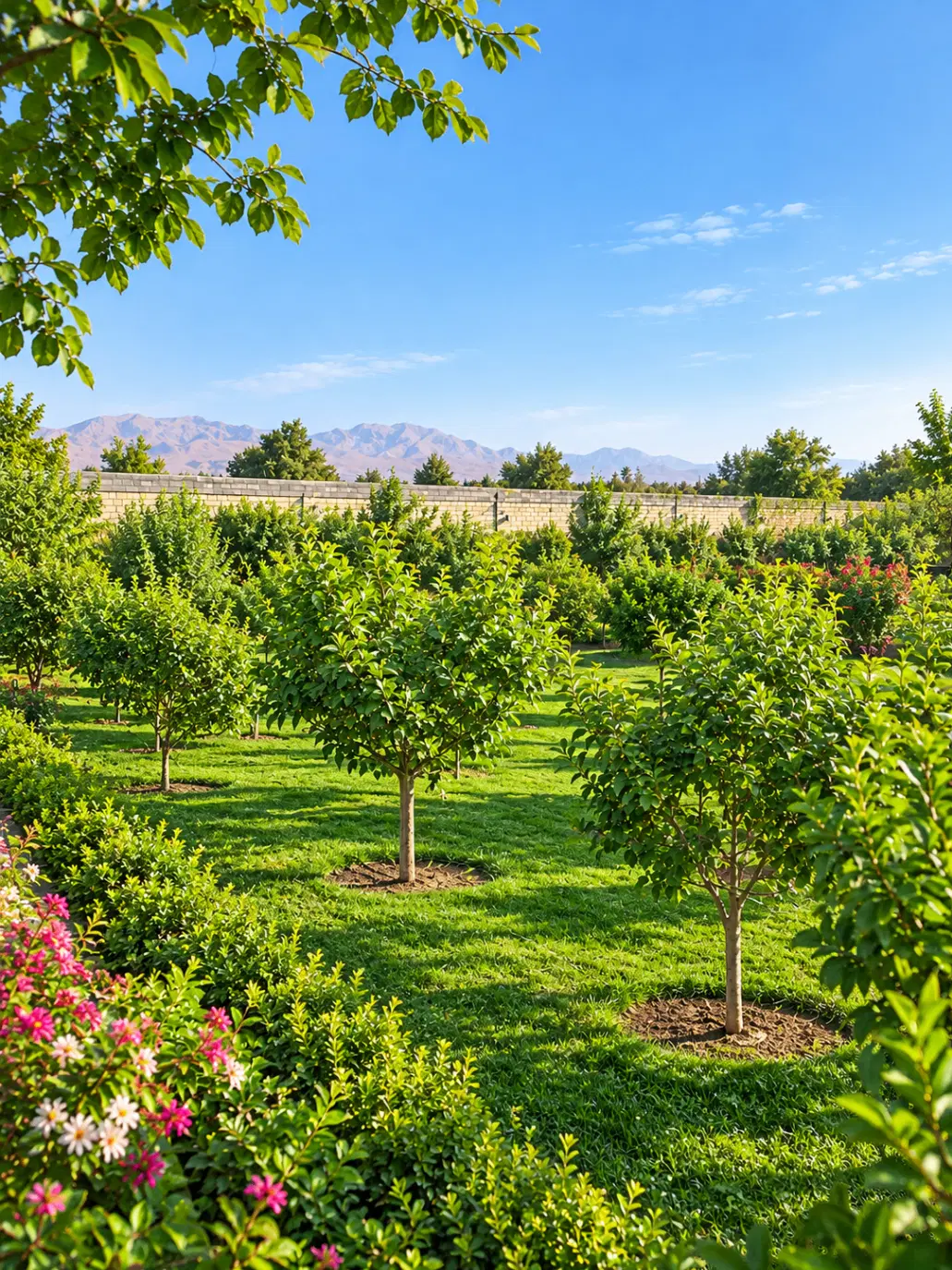 باغ ۲۰۰۰ متری استخردار بر خیابان بوستان زندگی