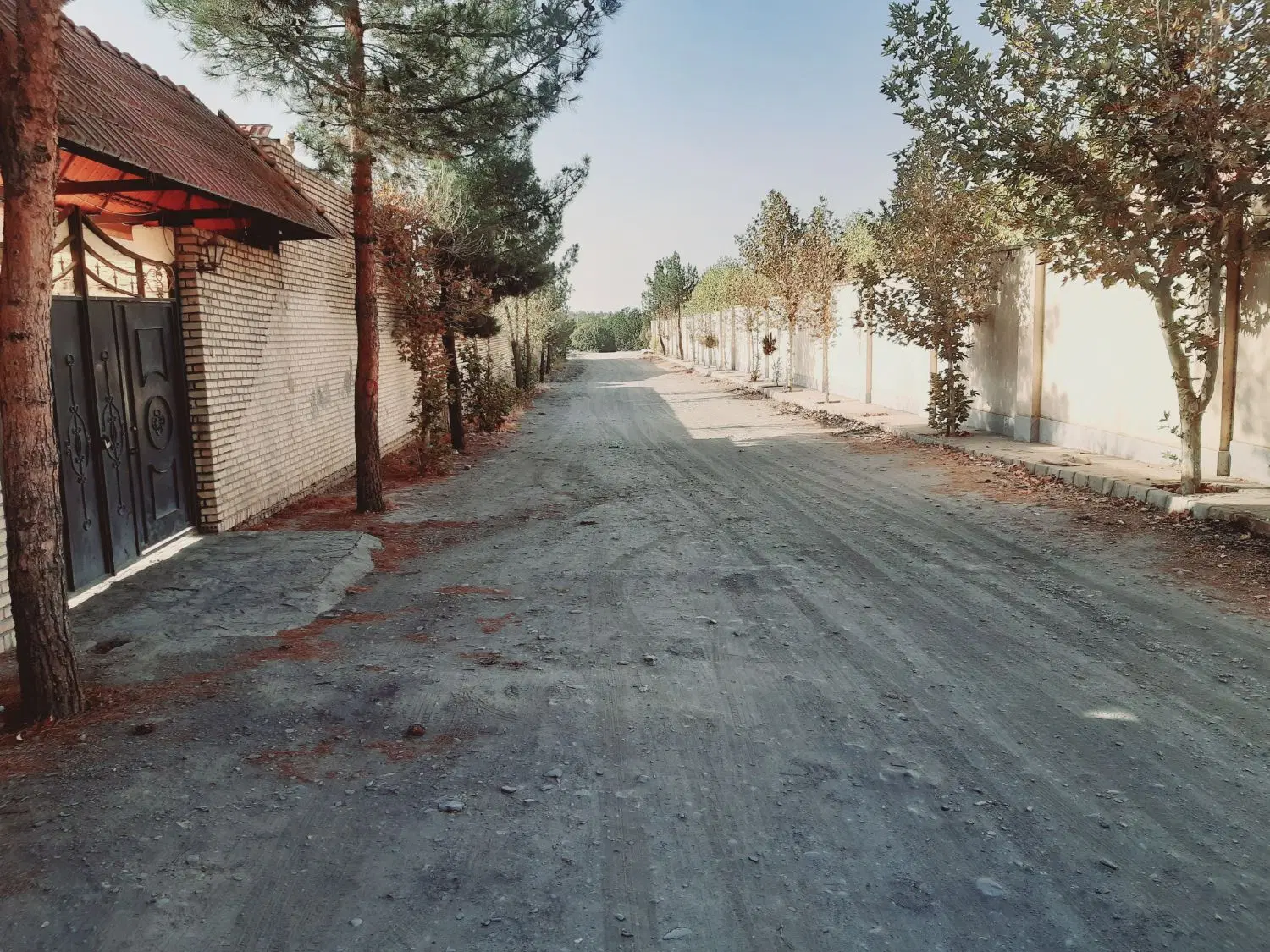 شاندیز * امام رضا _مقابل رستوران ایزدی
