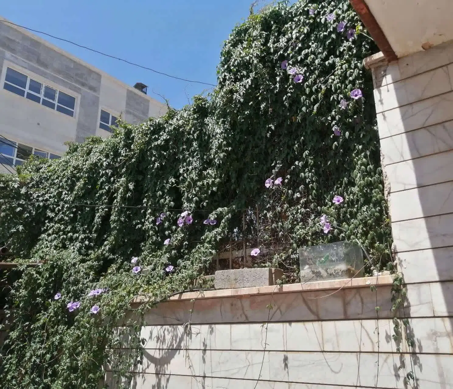 رهن منزل ویلایی یک طبقه مستقل