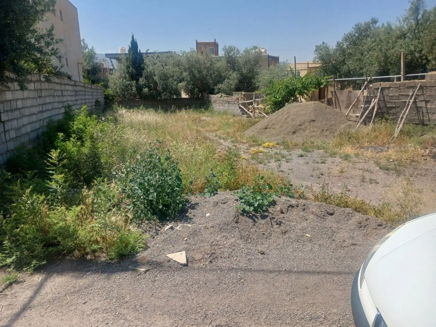 زمین