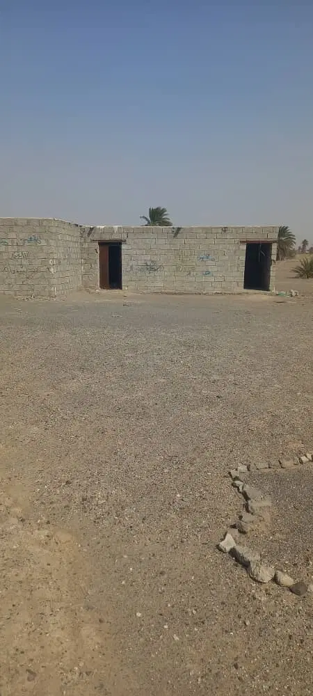 زمین
