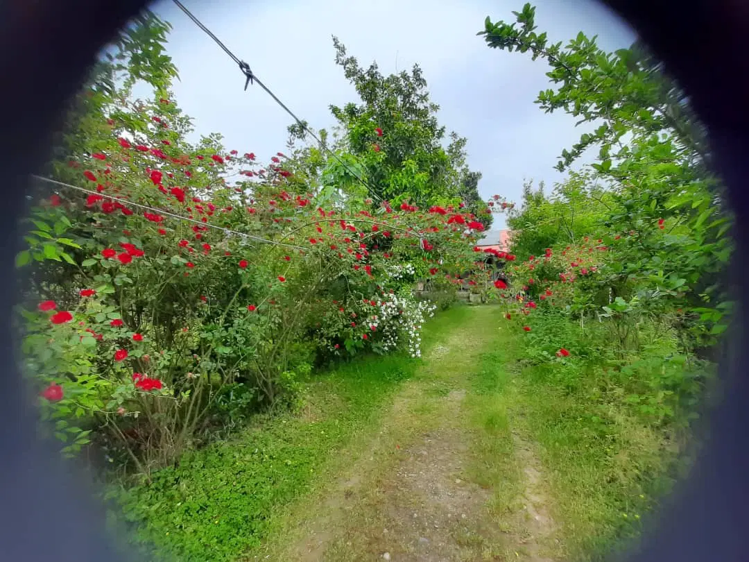۲۰۰۰ متر زمین ۱۳۰ متر بنا ۲ خواب