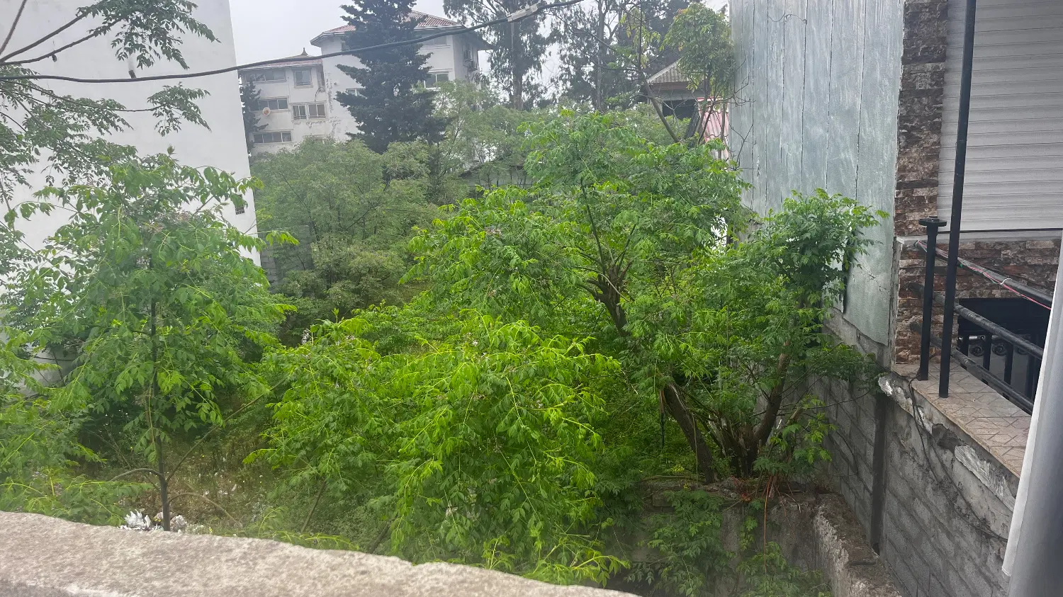 فروش زمین سیسنگان