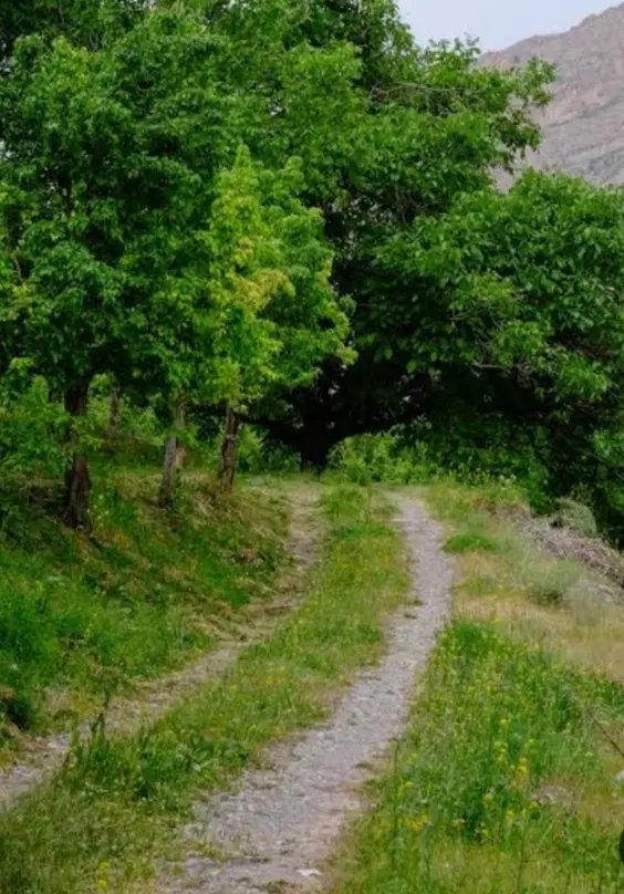 فروشه ده