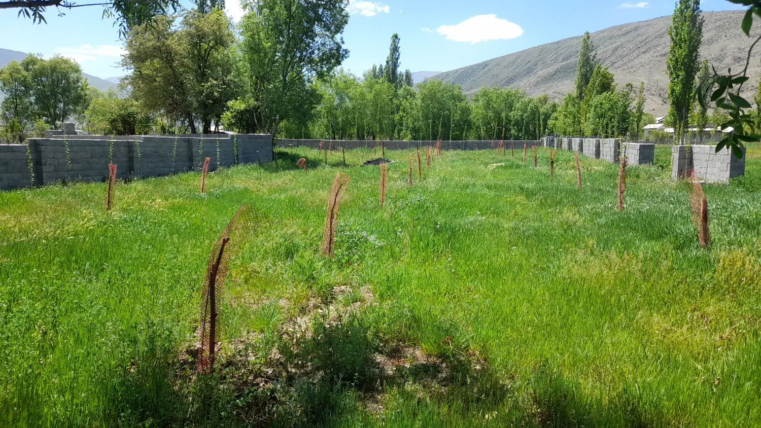 زمین نوشهر کجور ویلا