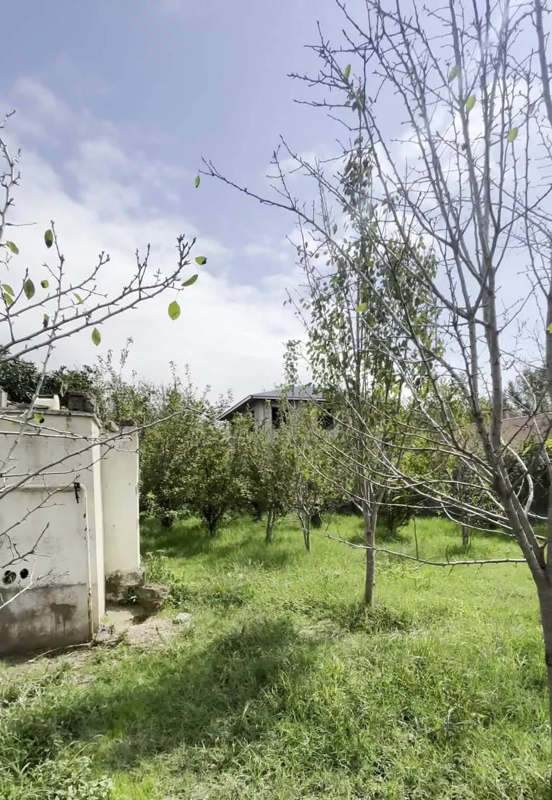 فروش زمین در روستای پیرپشته