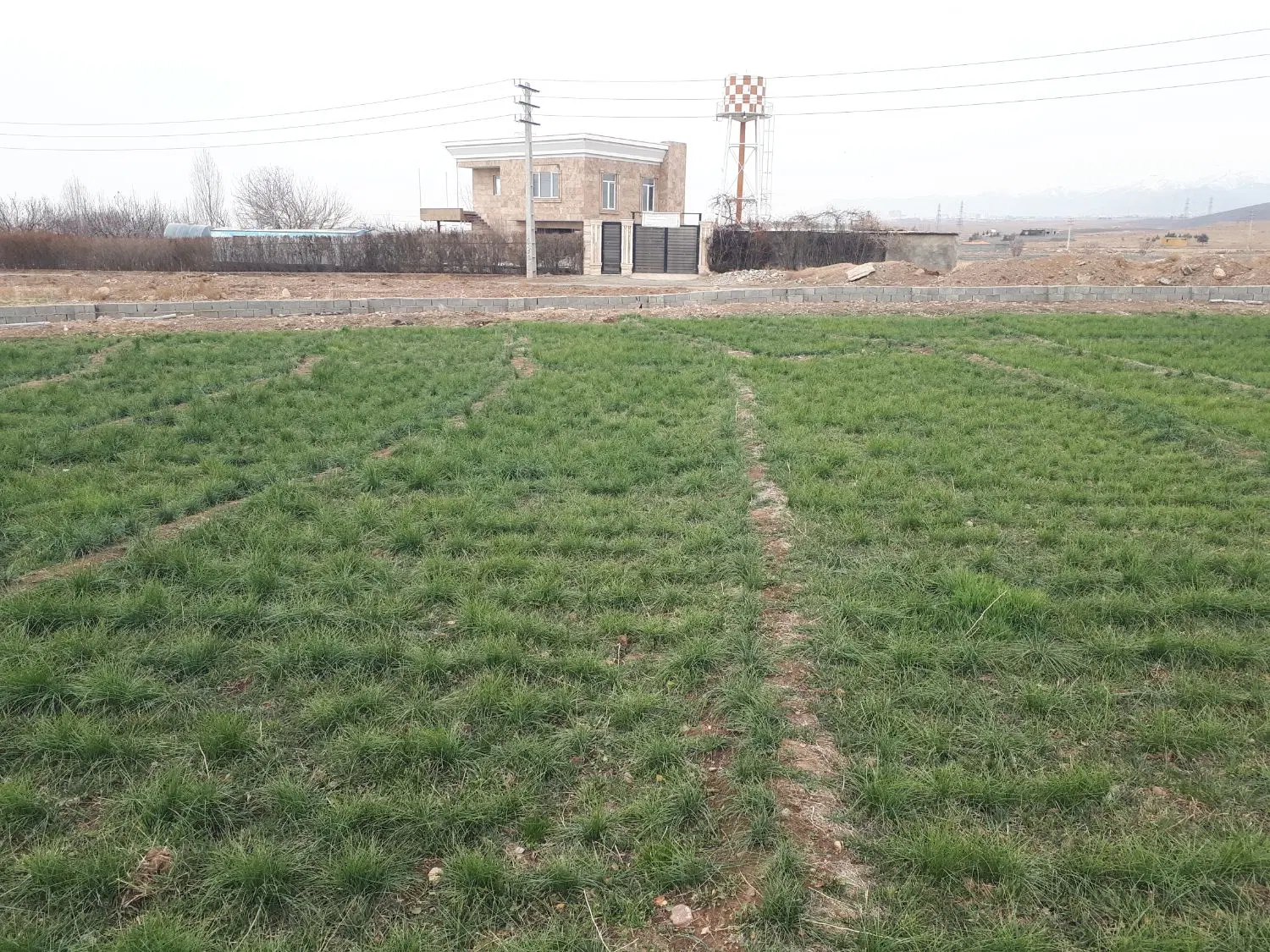 ۳۳۷۹متر زمین در کوهسار کردان دارای سند تک برگ