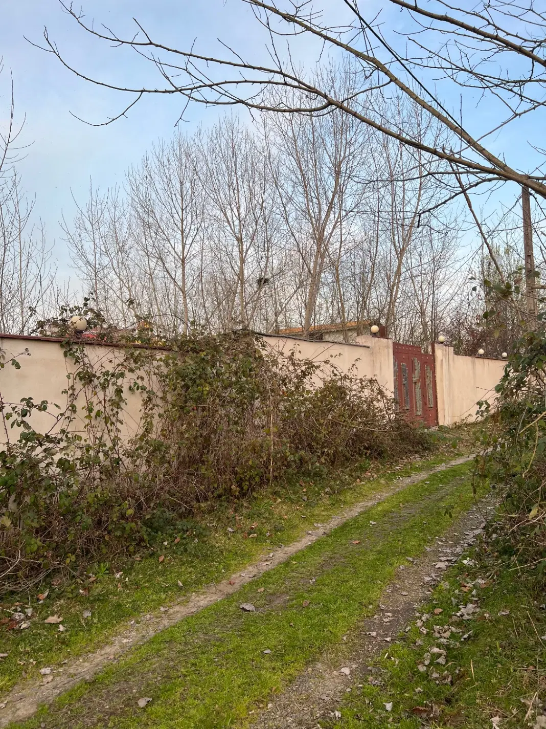 زمین دارای سند تک برگ گیلان