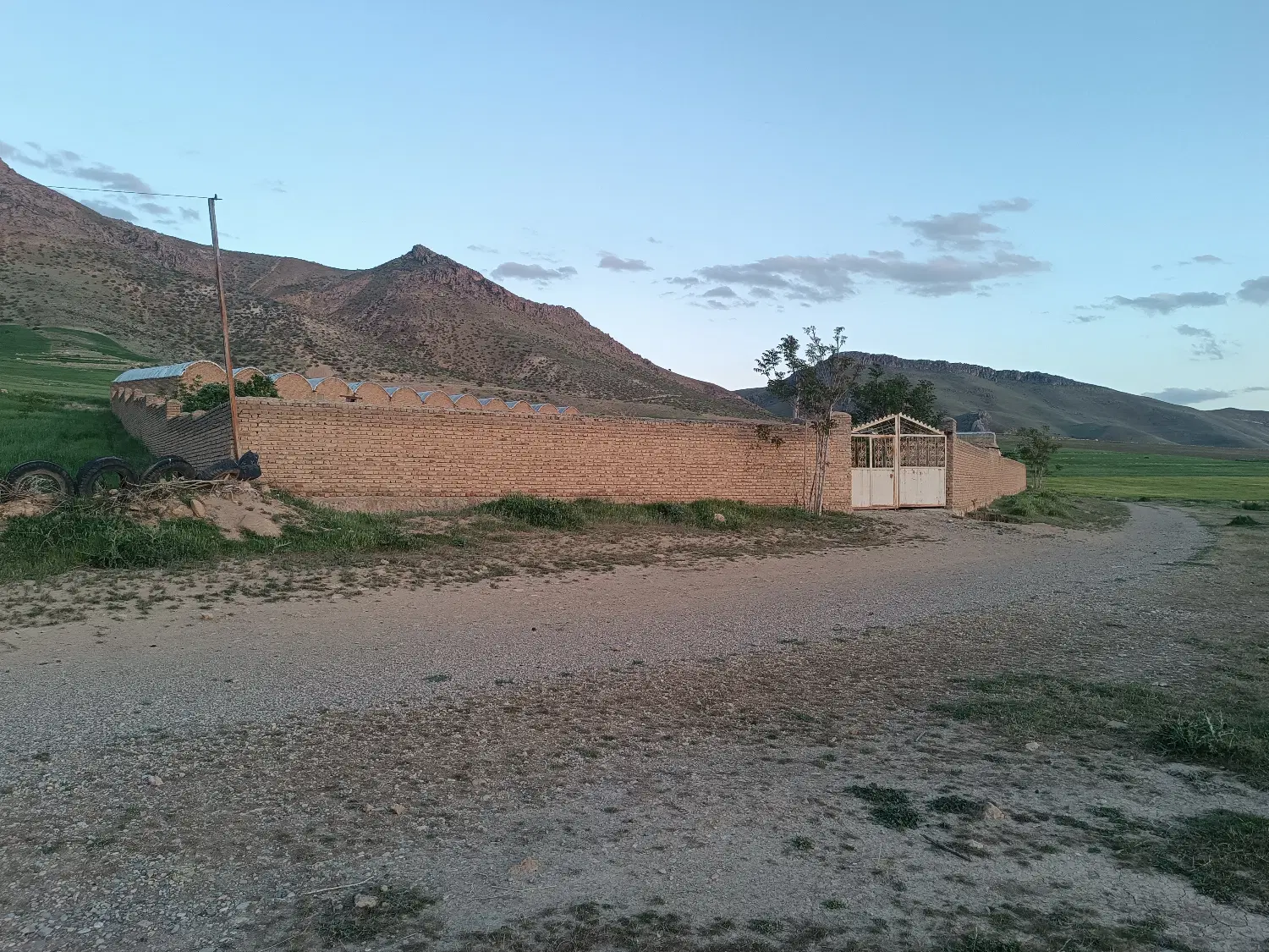 گاو داری