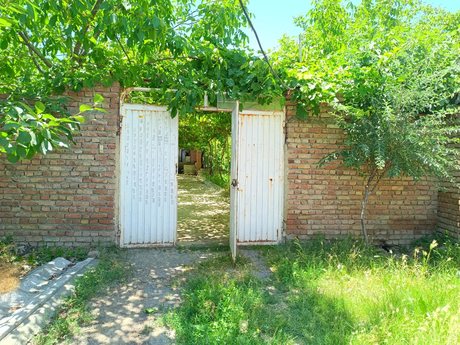 خونه باغ روستایی