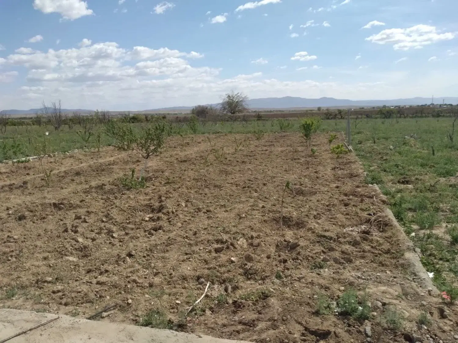 640متر زمین در مزرعه کمال تنکمان