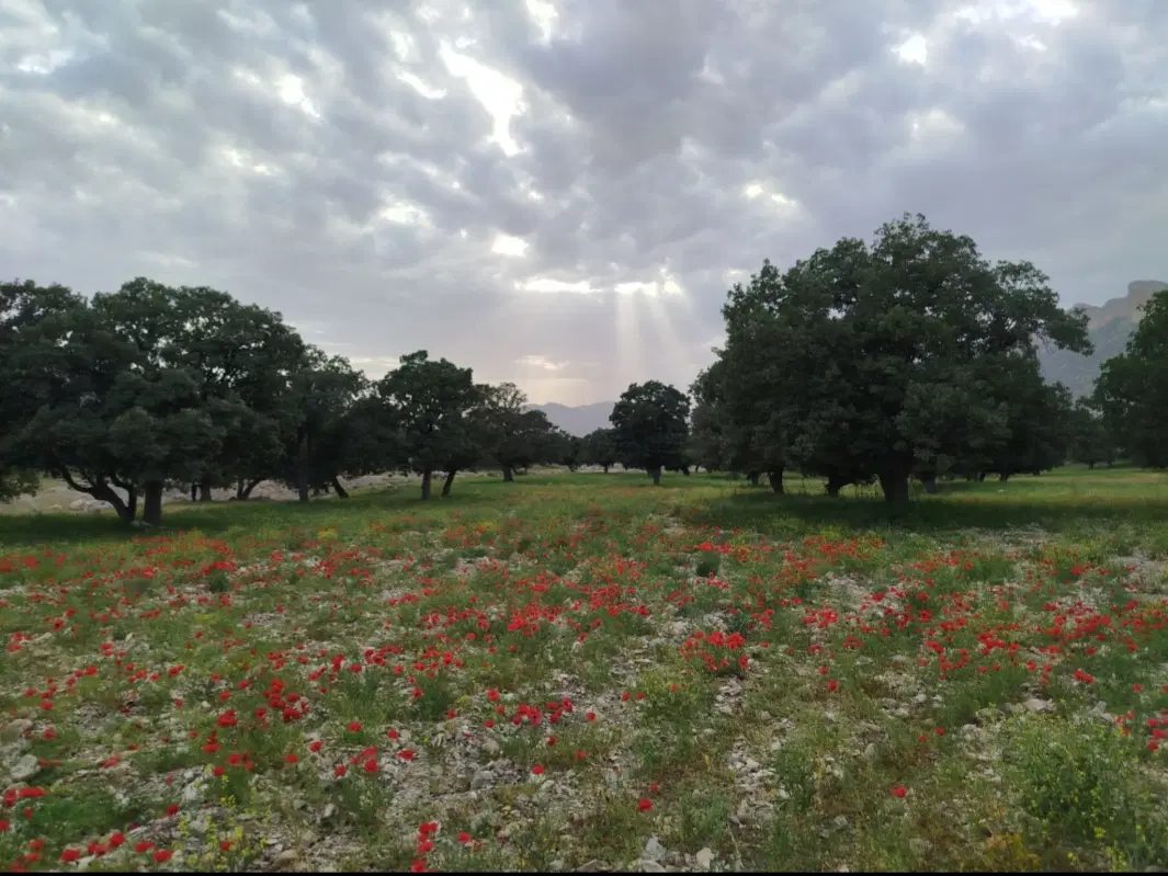 فروش زمین آبی