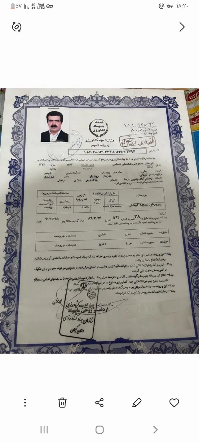 زمین مخصوص مرغداری.