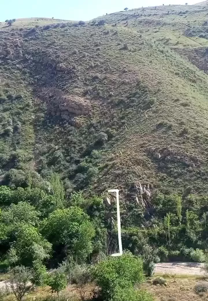فروش باغ