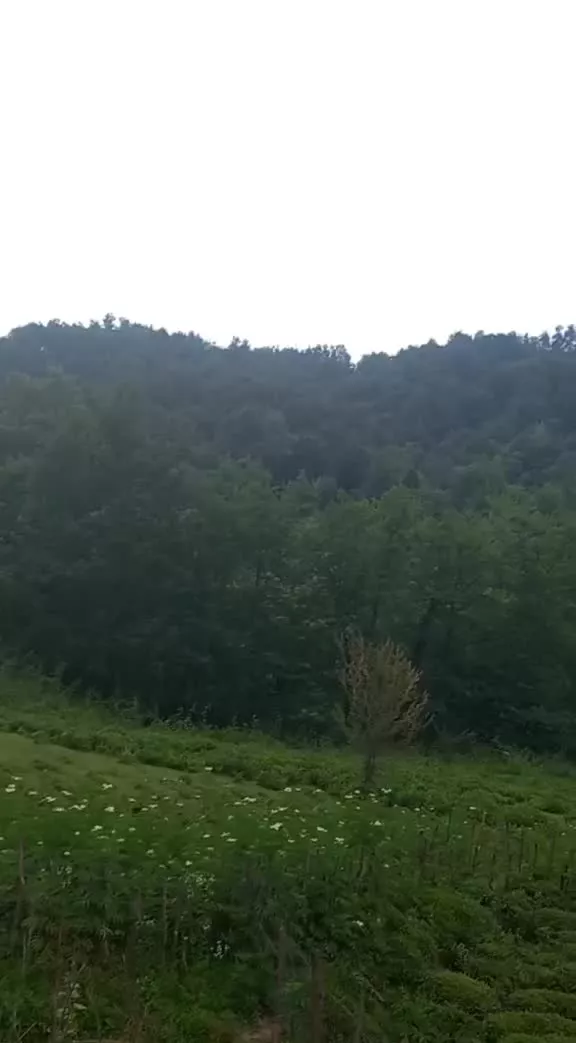 ویلای مدرن و لوکس در سیاهکل
