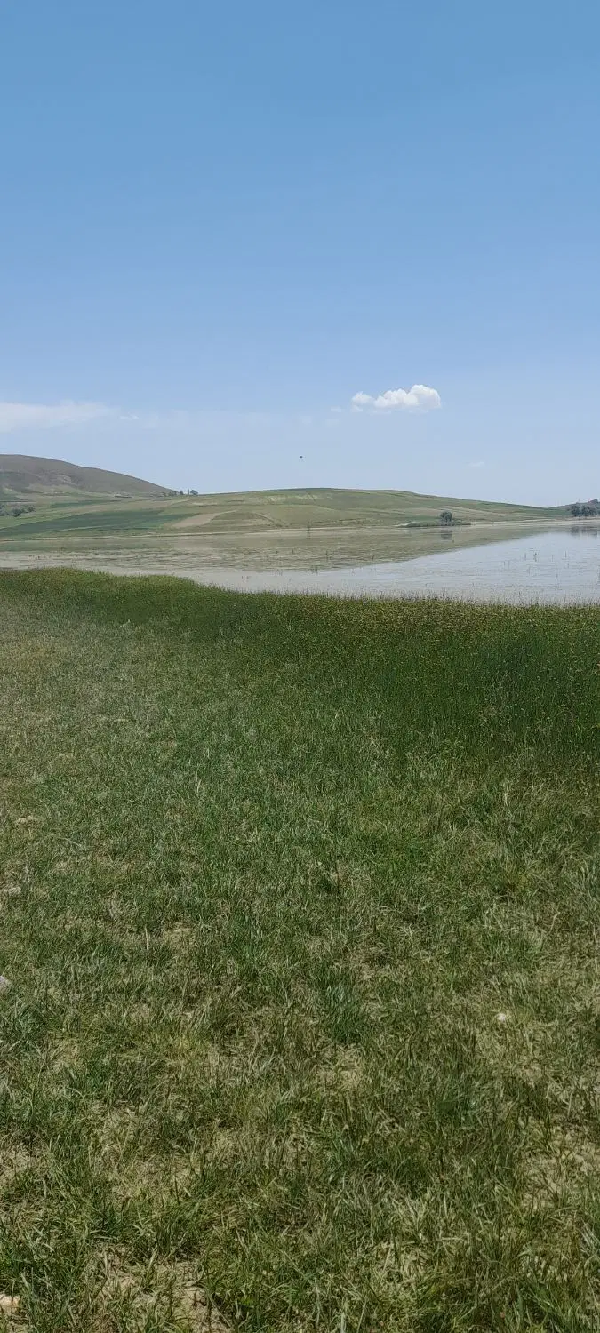 زمین ویلایی در قوریگول