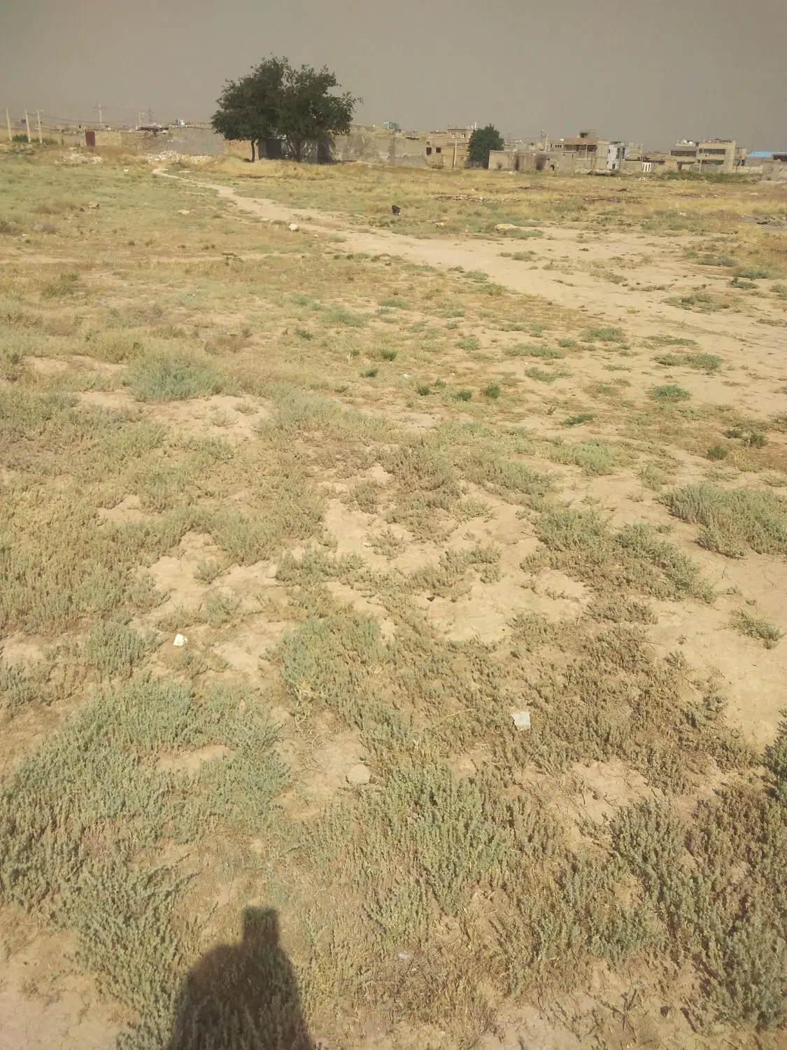 فروش زمین مسکونی وزیراباد۴۰۰متر