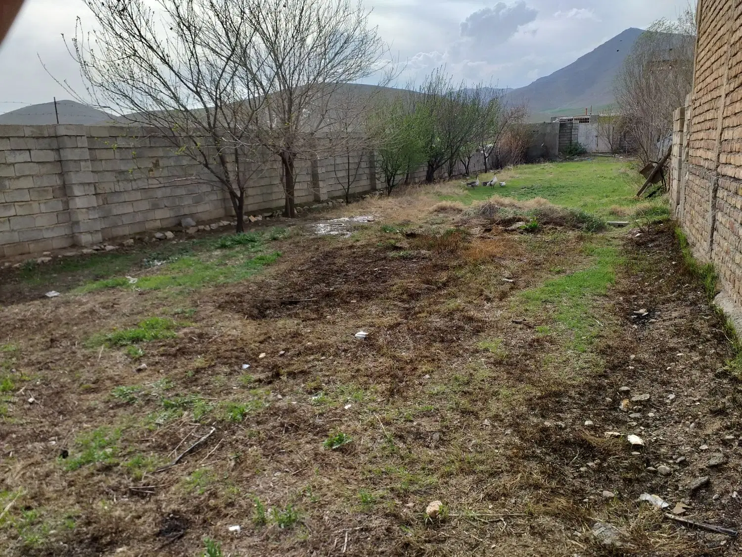 زمین مسکونی