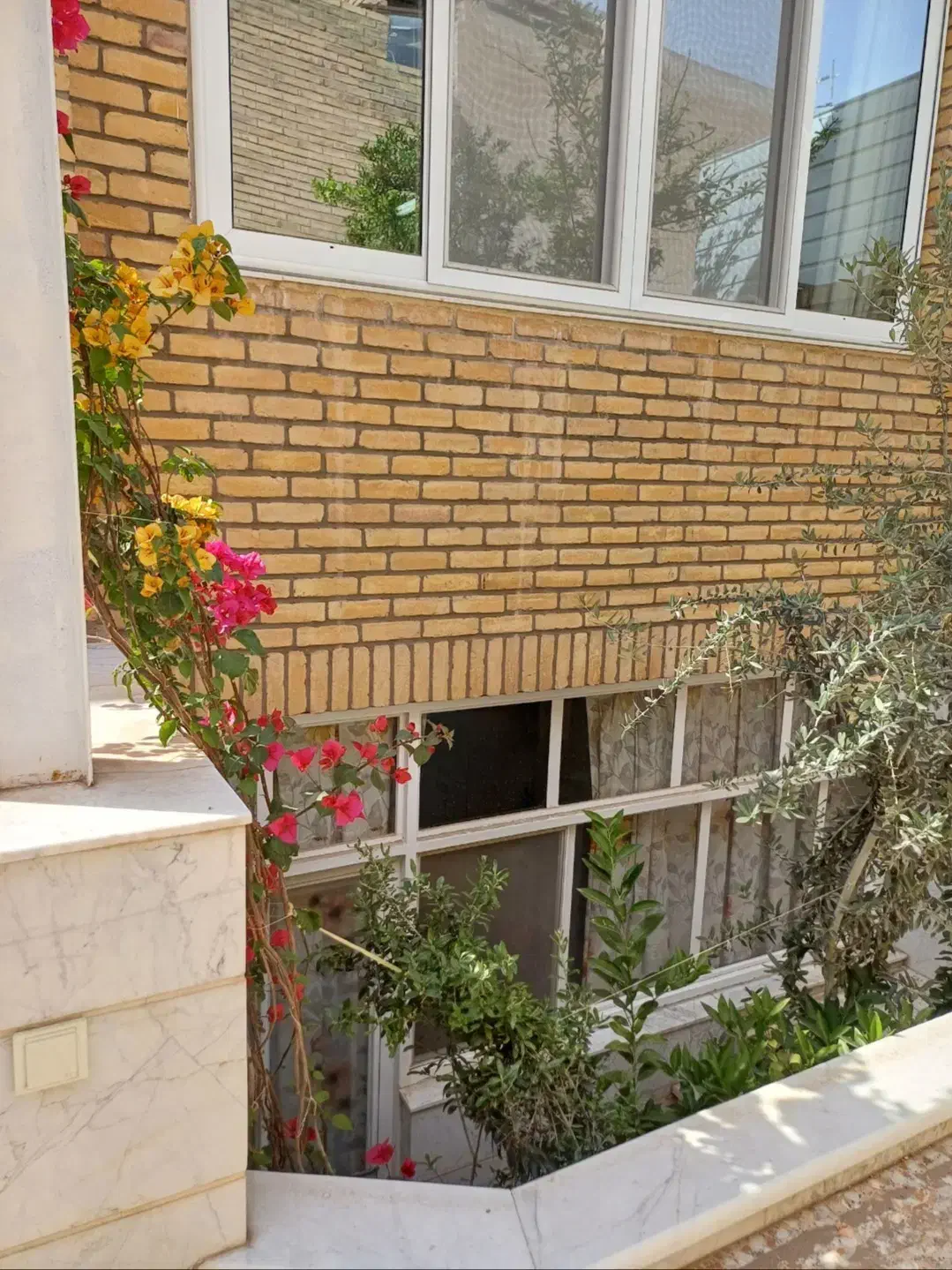 واحد خیابان ۲۲ بهمن   نزدیک تامین اجتماعی