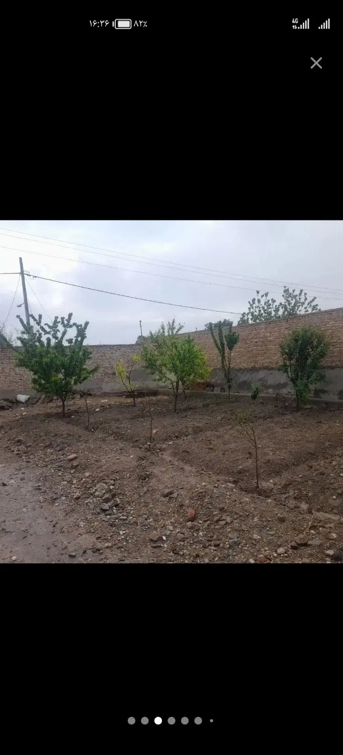 باغ ویلا  423متر