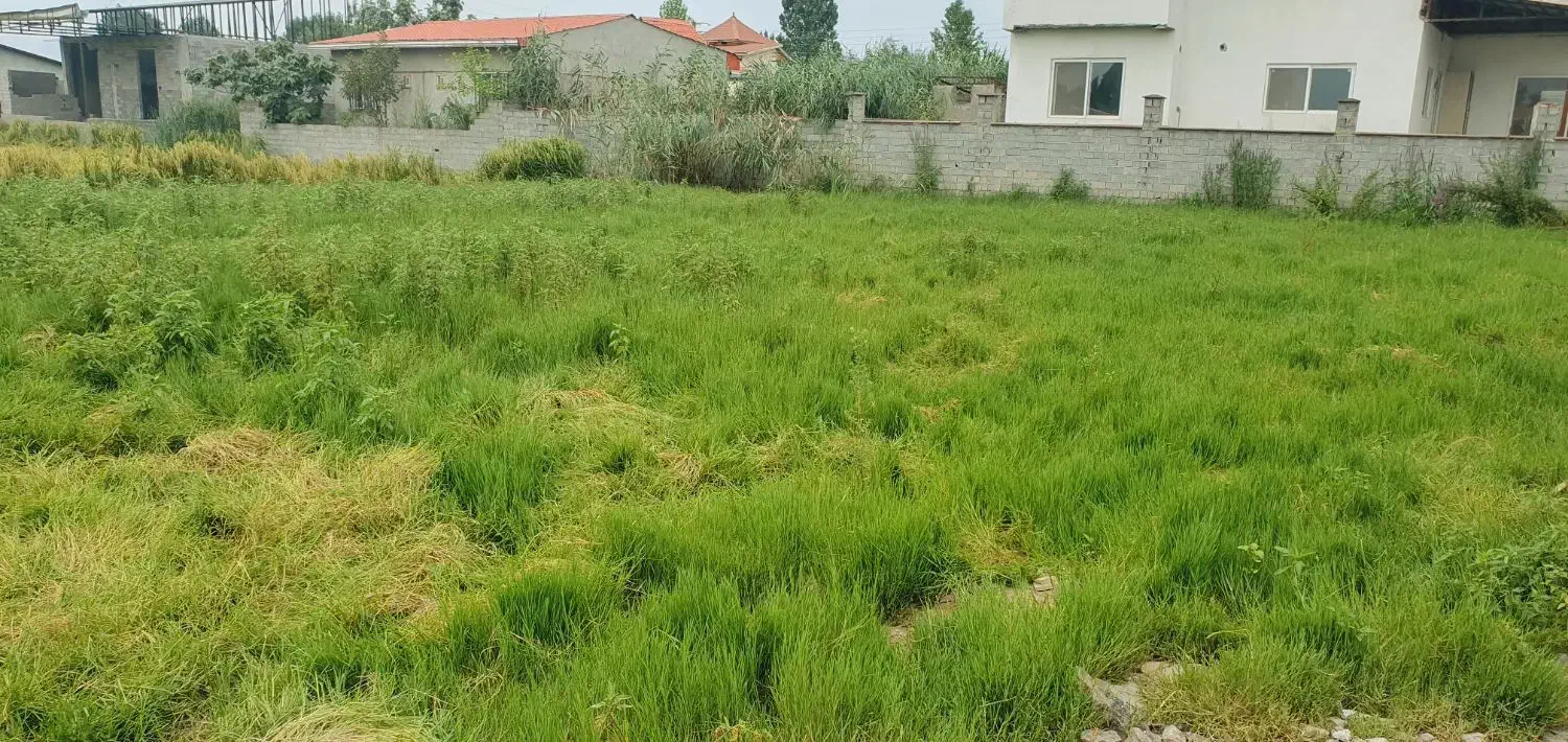 زمین شهرکی قابل ساخت