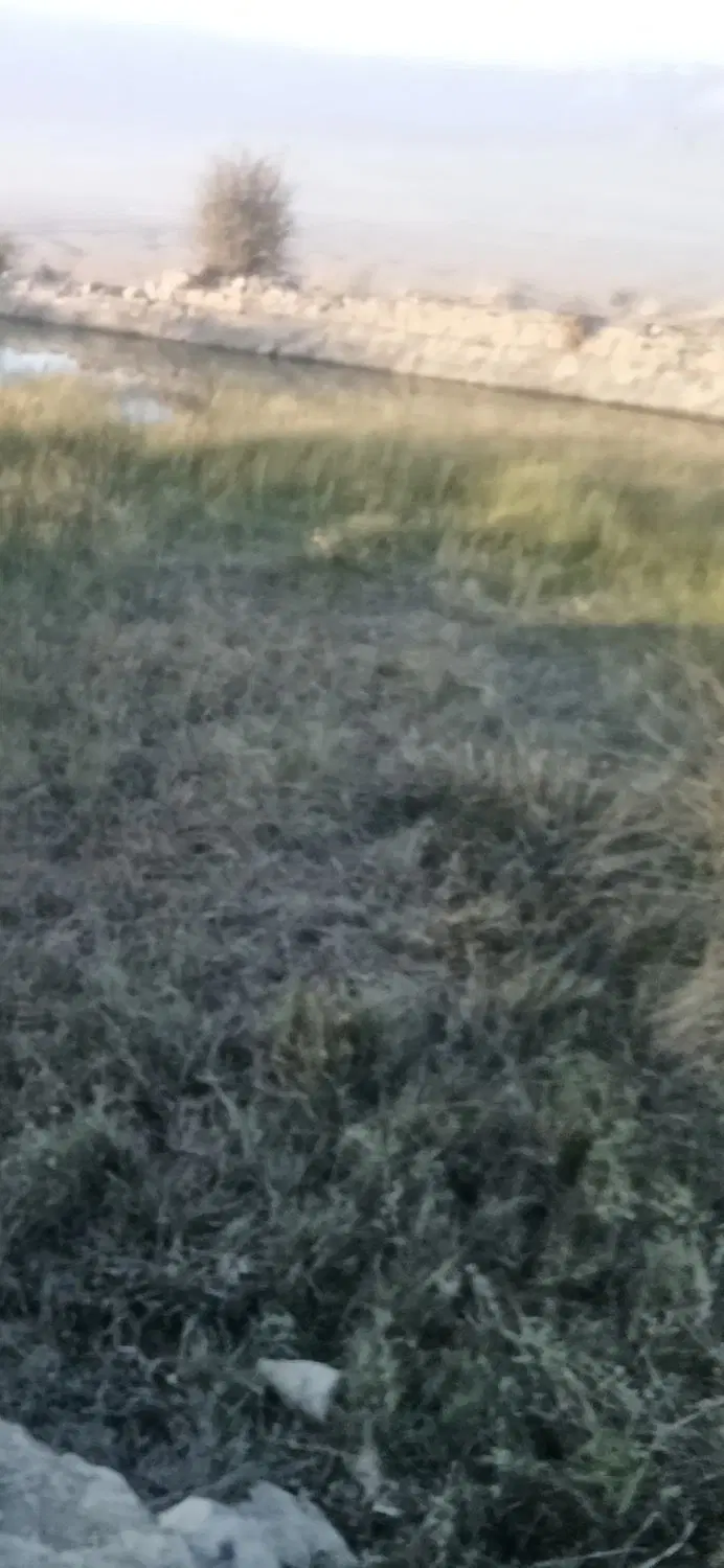 ۳۰۰مترزمین(دوبر)