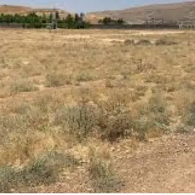 زمین