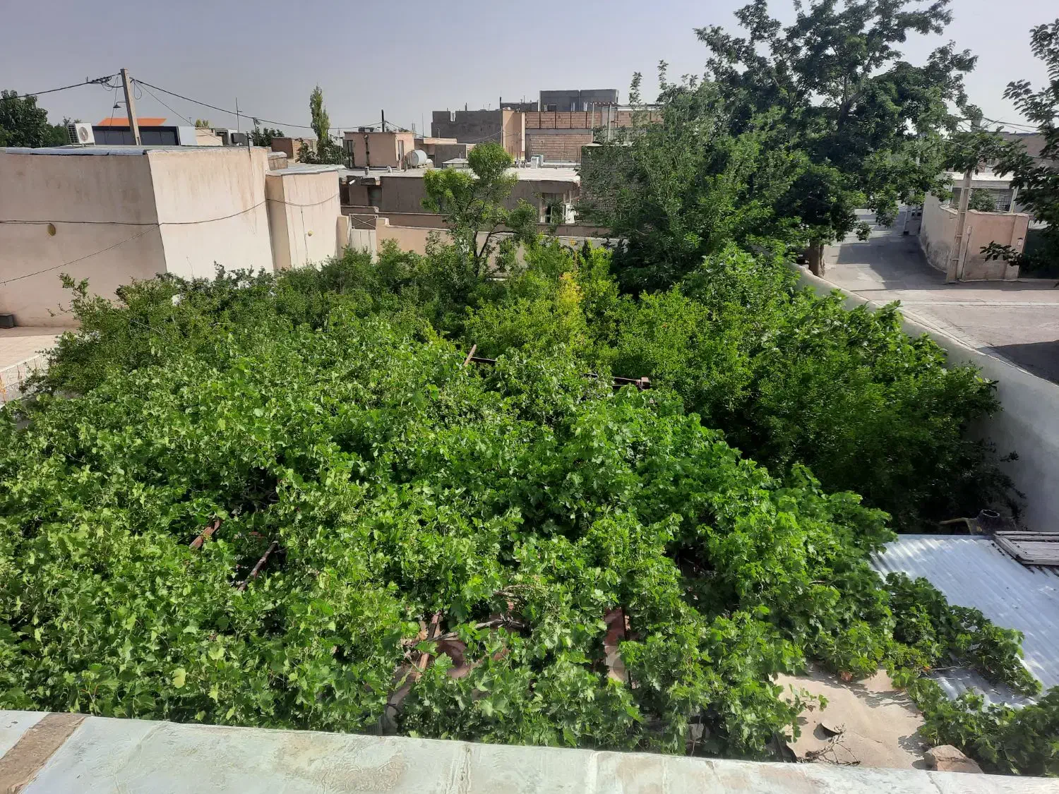 خانه باغ
