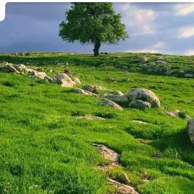 فروش زمین باغی