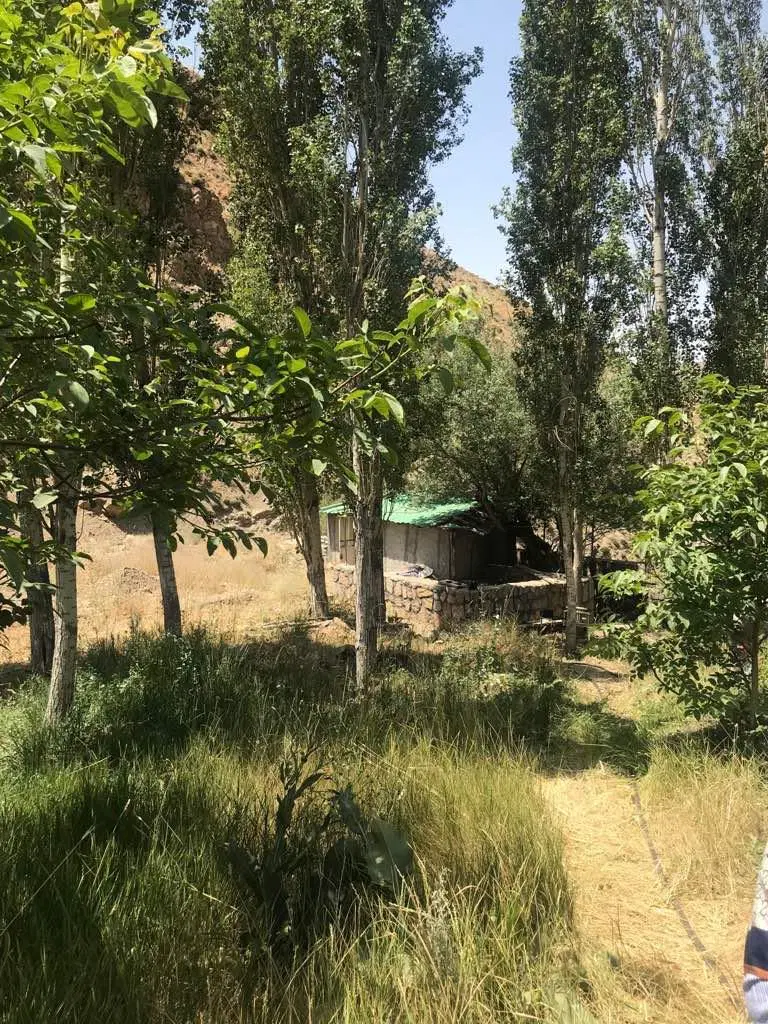 فروش باغ میوه در پیست ابعلی
