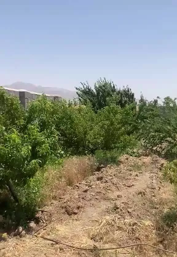 باغ با چاه اب در نوبران