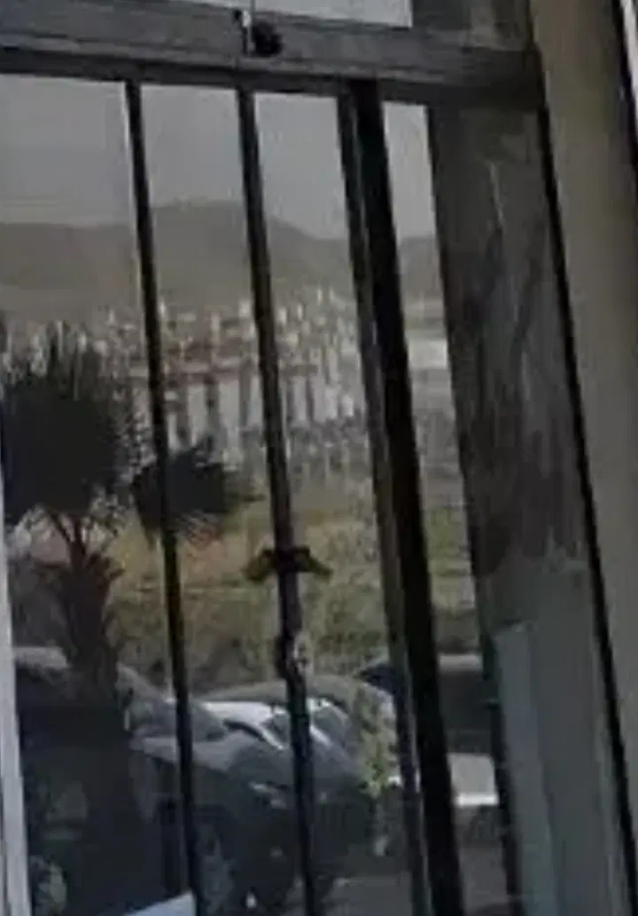 مغازه فاز ۸ فروشی