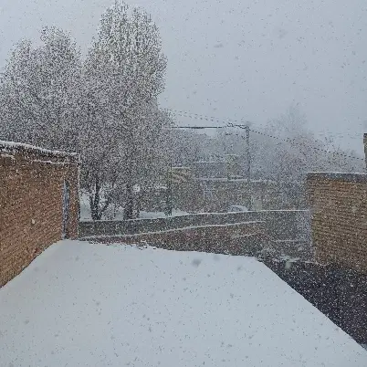 فروش زمین مسکونی(چهار دیواری)
