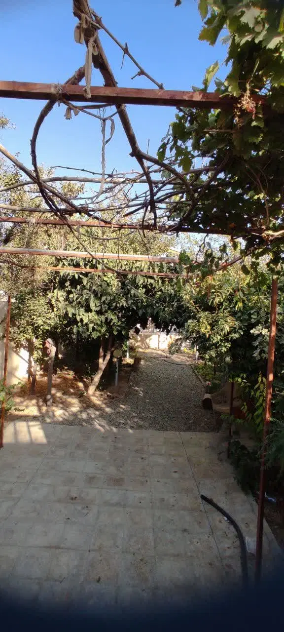 فروش سوله،مغازه،باغچه