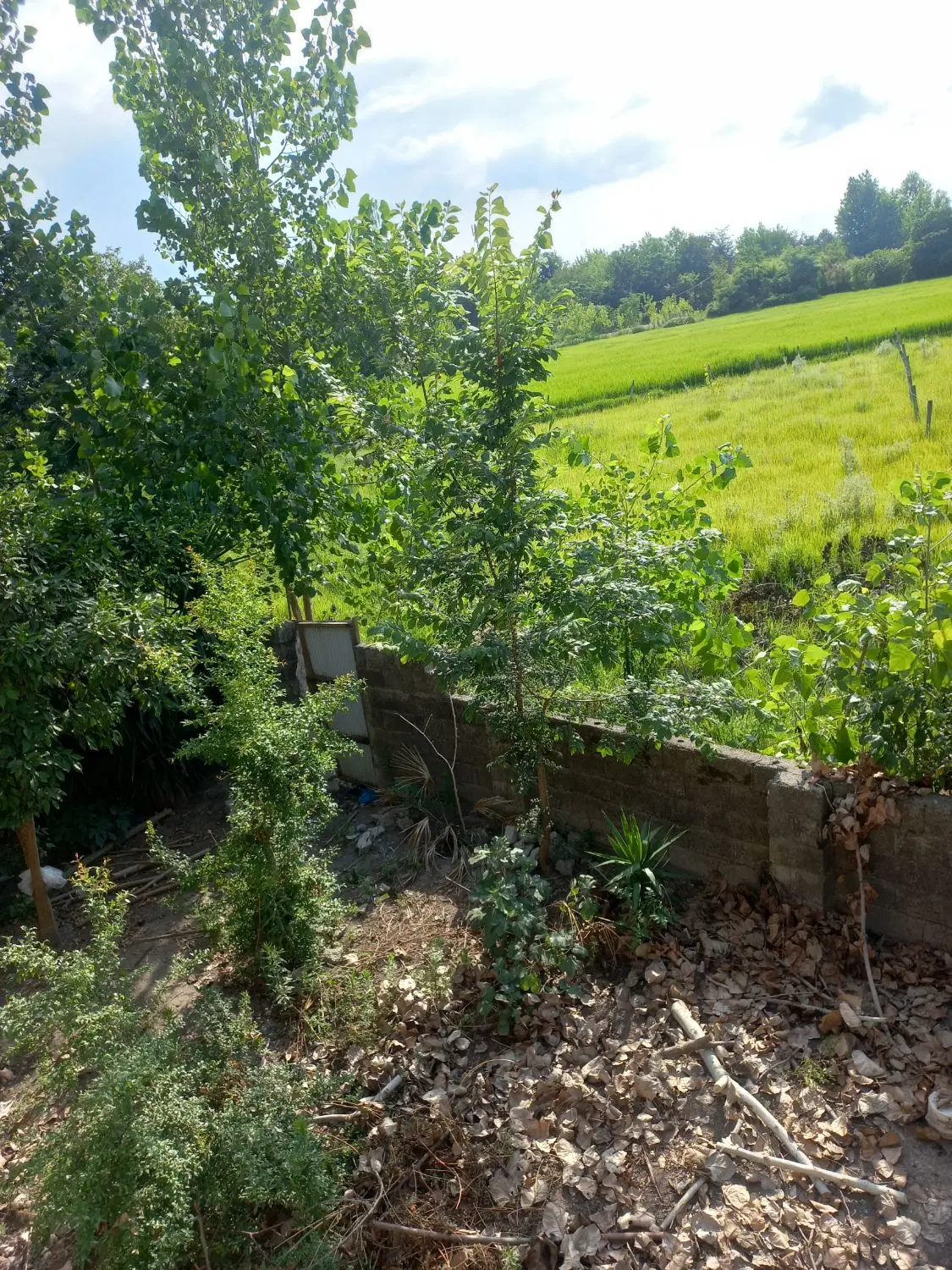 خانه ویلایی قدیمی بادیواراجر۴۰