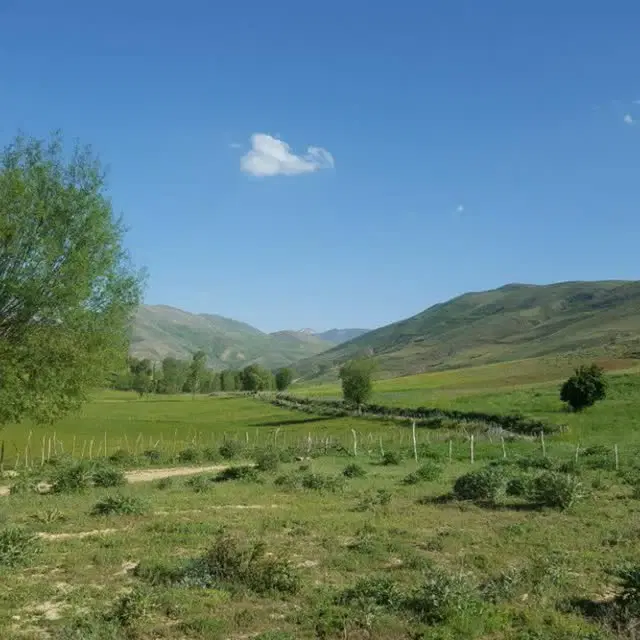 زمین کشاورزی روستای مرادآباد نورعلی (سراب)
