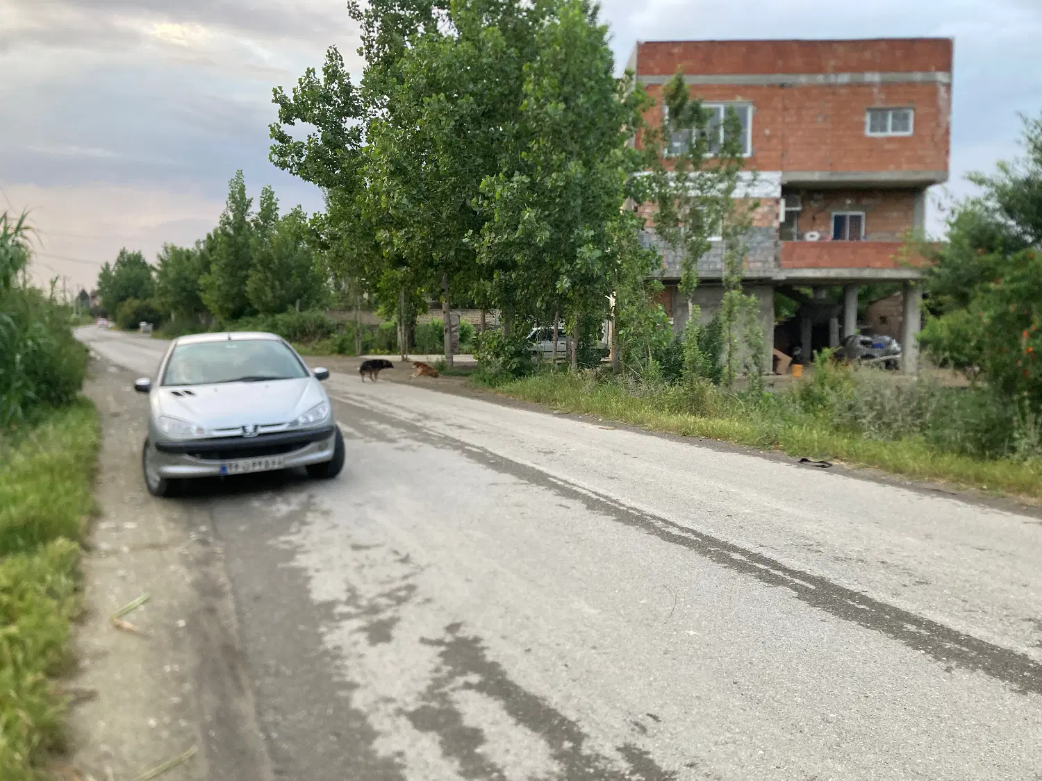 ۳۳۰مترزمین مسکونی و تجاری روستای النگ بر خیابان