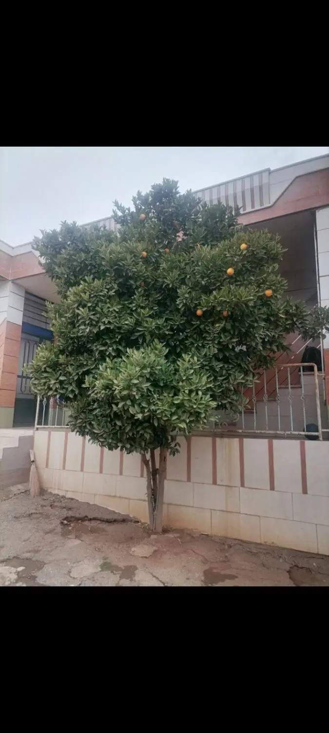 اجاره خانه در روستای علی آباد