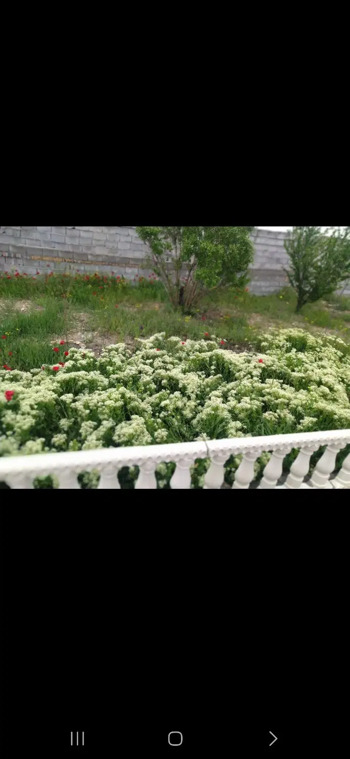 فروش باغ اسپیران