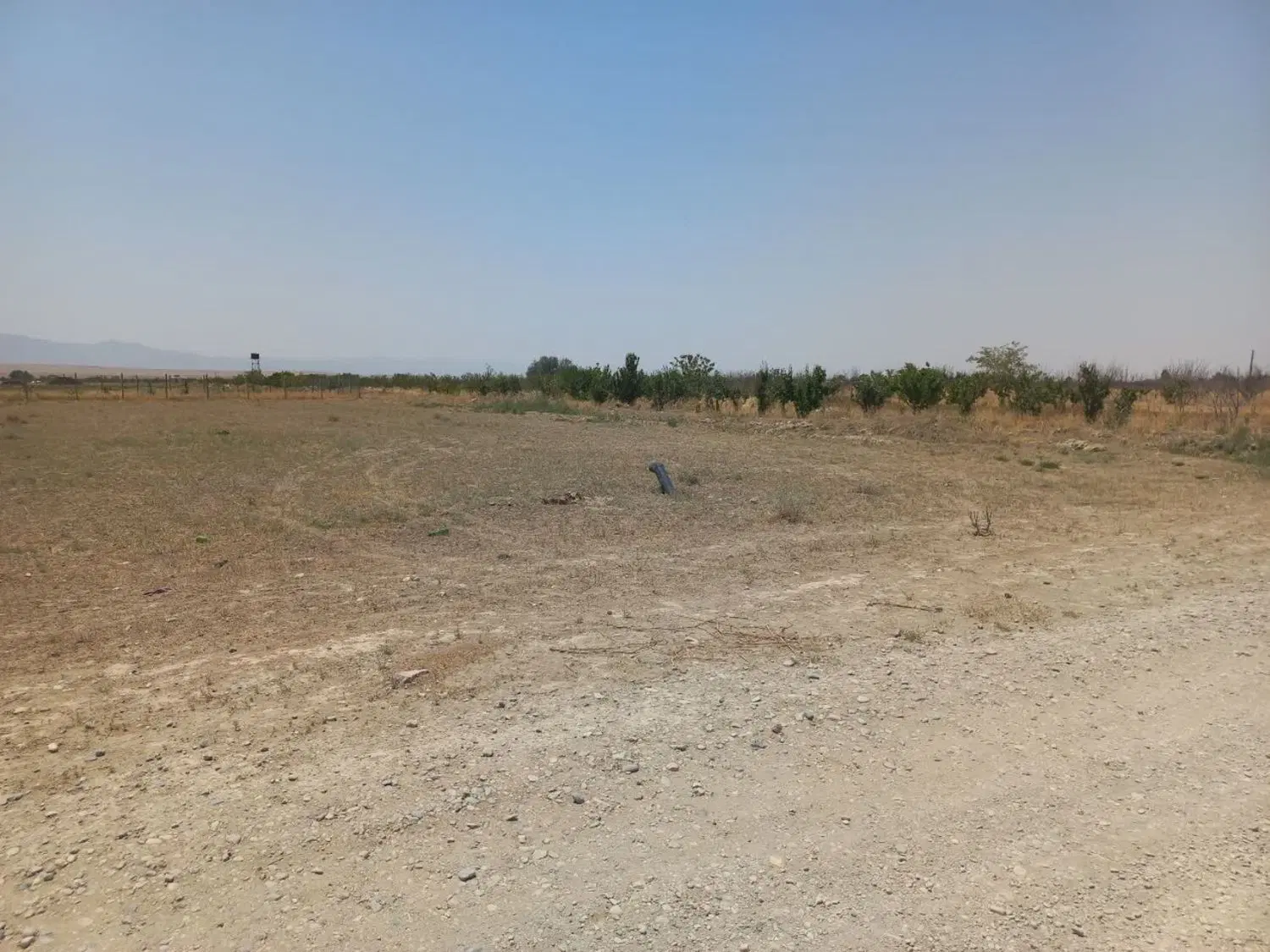 یک قطعه زمین مناسب باغچه