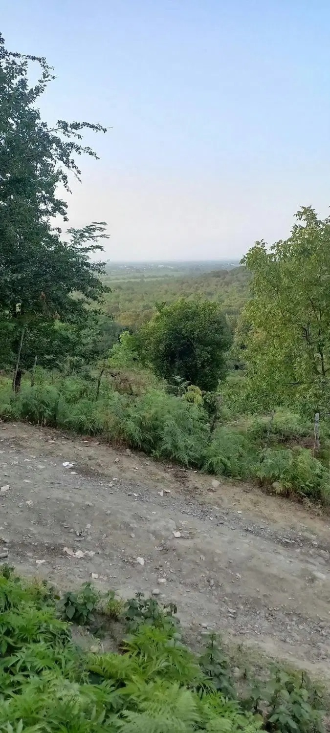 ۵۷۰ ویلا کلنگی شفت مازندران