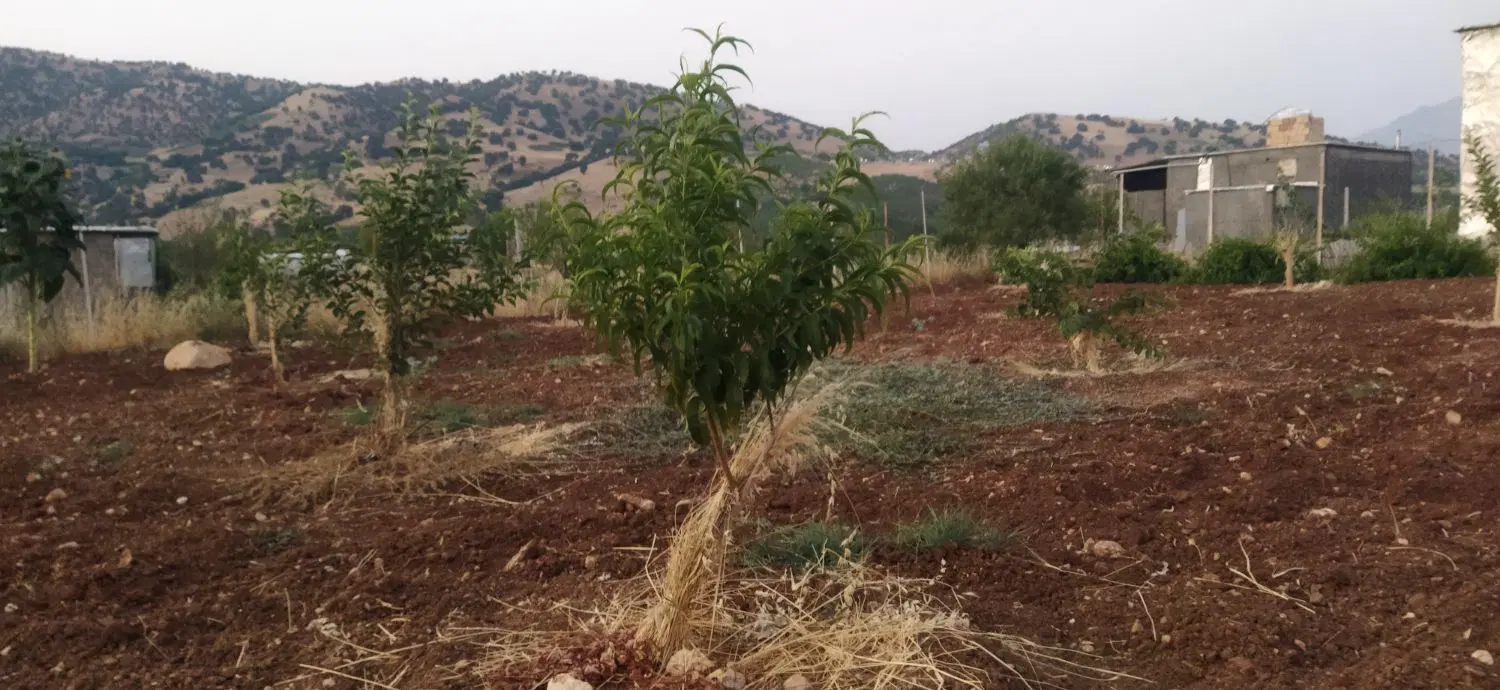 فروش باغ ۲۰۰۰ متری در دره ناخی