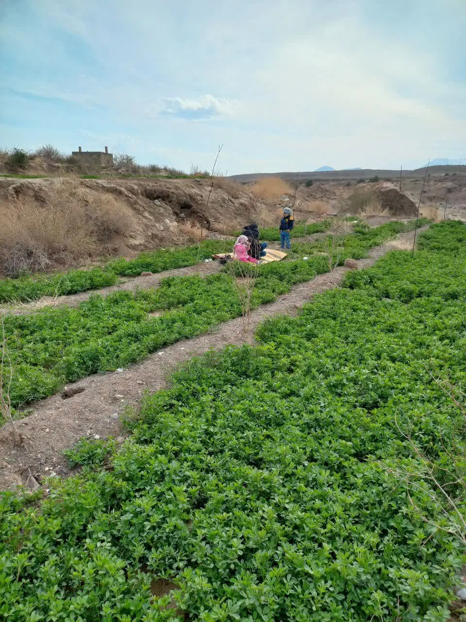 باغ  ویلا  خدیجه خاتون
