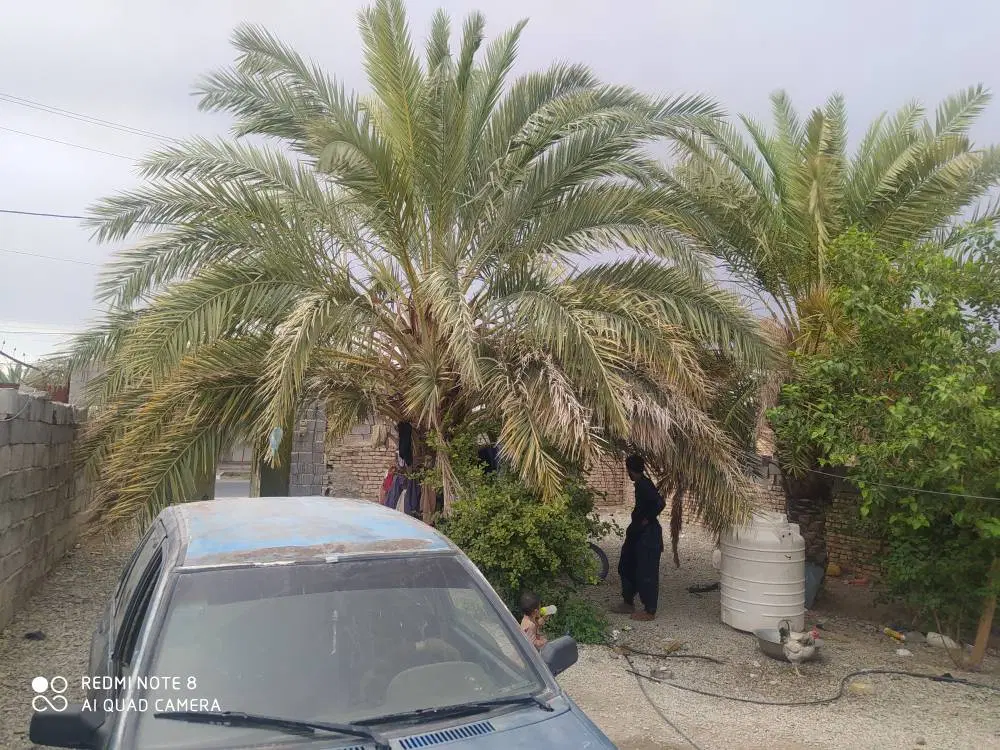 خانه ویلایی 350متری
