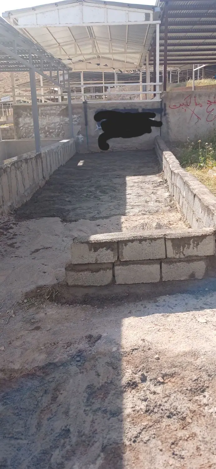 زمین صالحین۳
