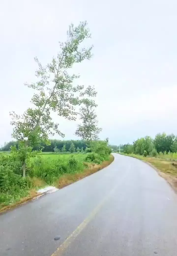 خانه ویلایی شیک نزدیک ساحل