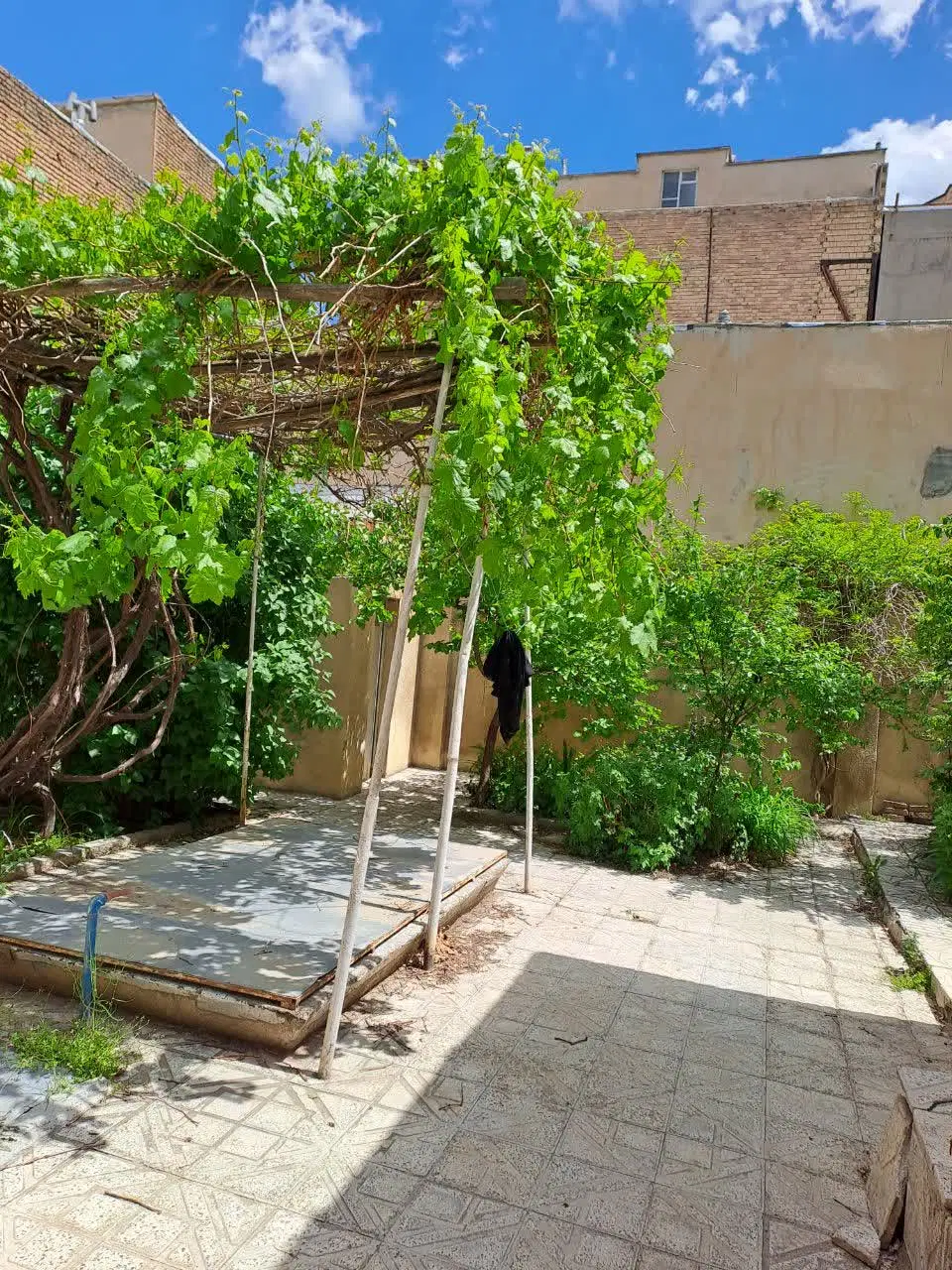 فروش خانه ویلائی باغی واقع در میدان آرامگاه بوعلی