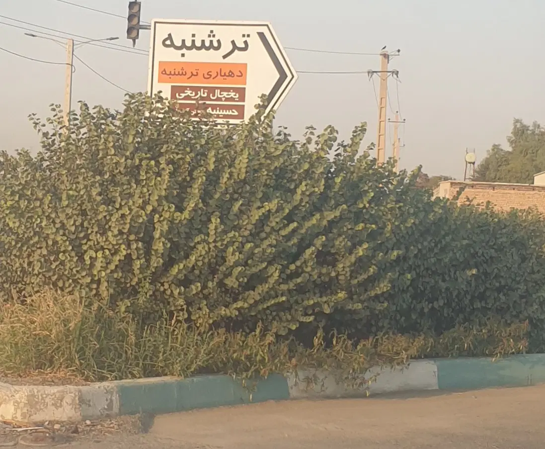 زمین باغی فیروز بهرام ترشنبه