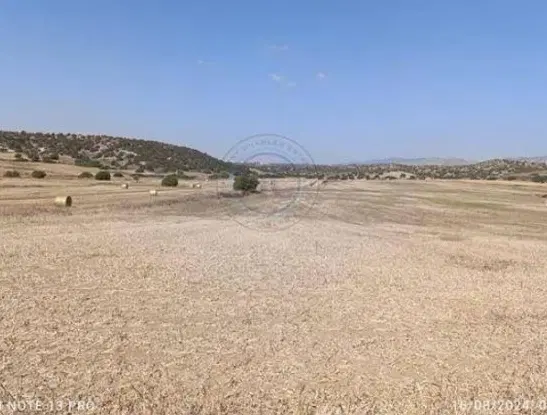 زمین شهرک کوثر